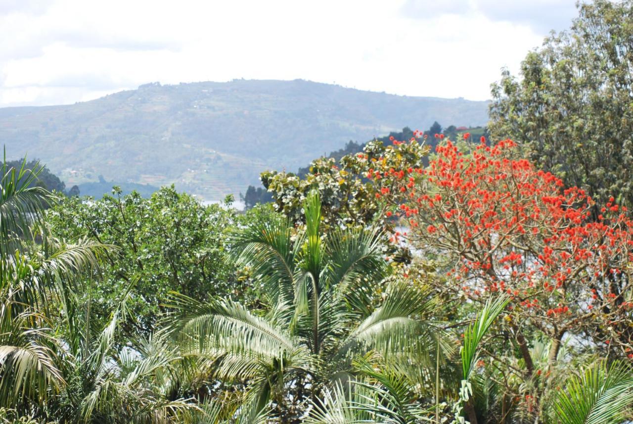 Crater Bay Cottages Kabale ภายนอก รูปภาพ