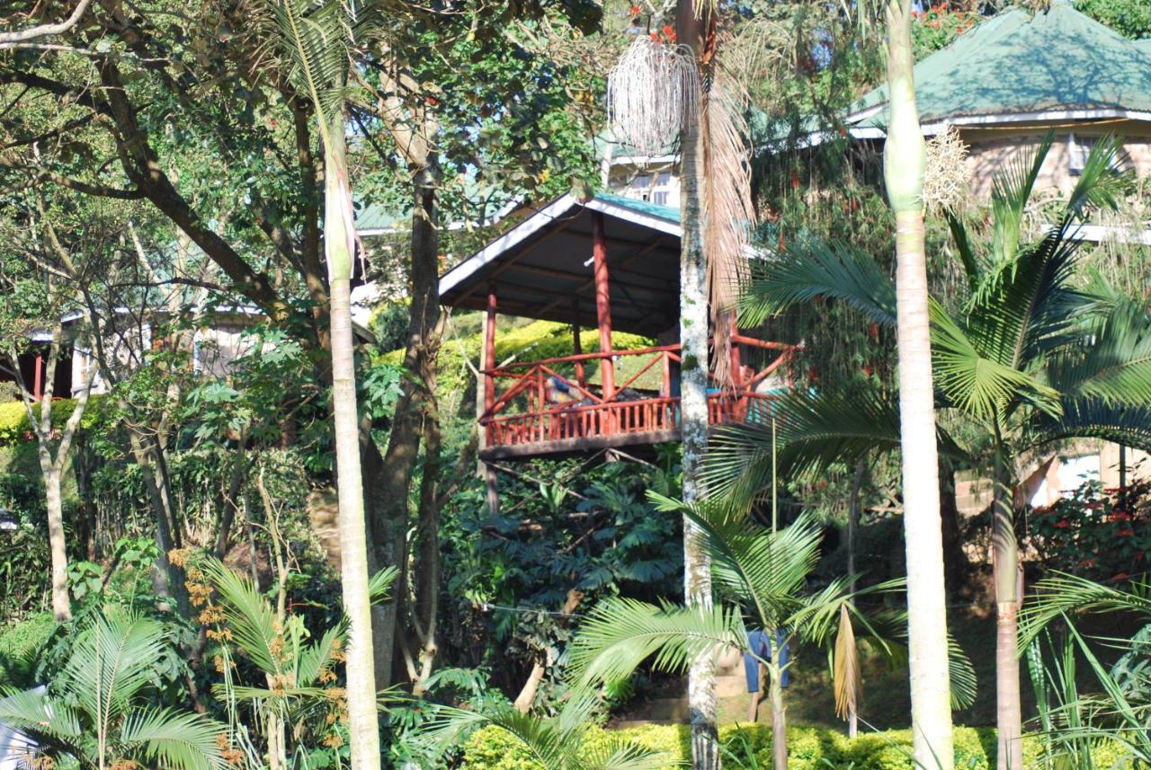 Crater Bay Cottages Kabale ภายนอก รูปภาพ