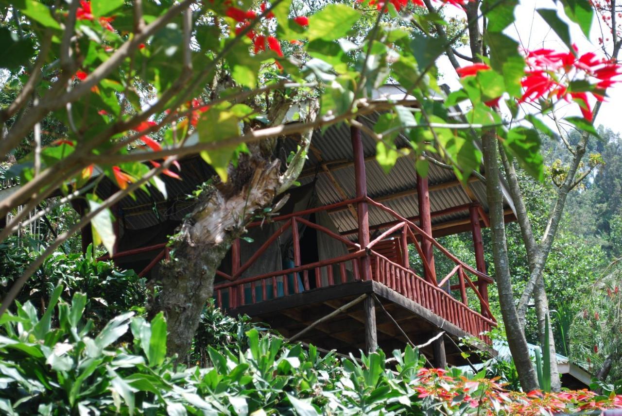 Crater Bay Cottages Kabale ภายนอก รูปภาพ